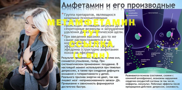 трава Балабаново
