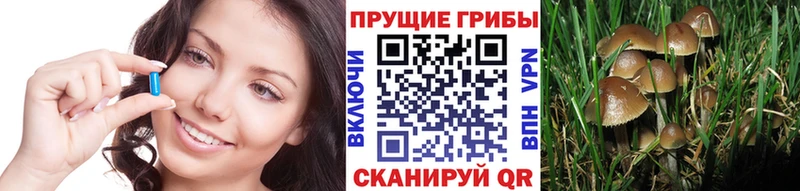 Галлюциногенные грибы мухоморы  mega как зайти  Старая Купавна  где можно купить  